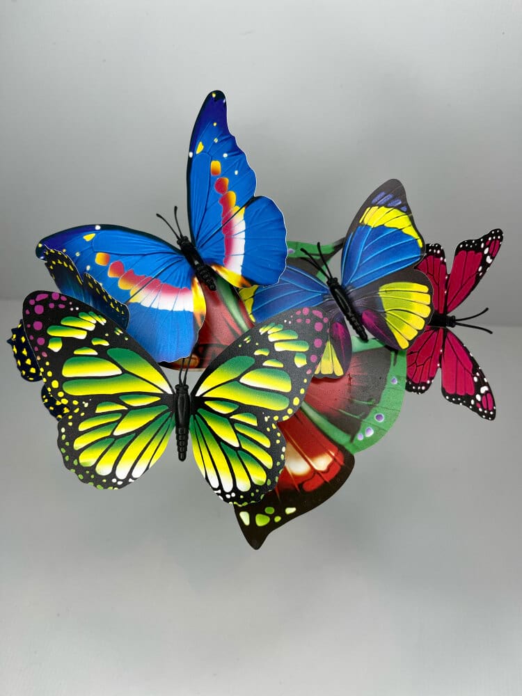 Small - Assorted Butterflies